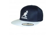 Navy/Silver Snapback