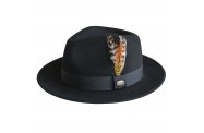 Black Fedora Hat