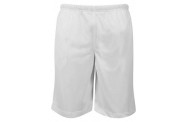 White Mesh Shorts